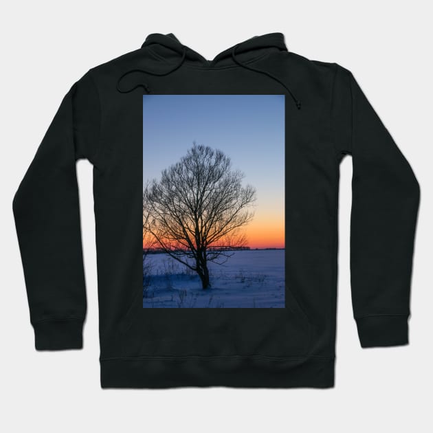 Sunset winter landscape with snow-covered road in violet and pink colors Hoodie by Olga Berlet